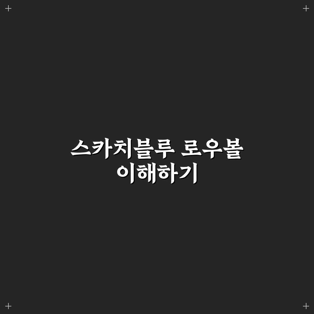 스카치블루 로우볼 사용법과 꿀팁 쉽게 알려드려요