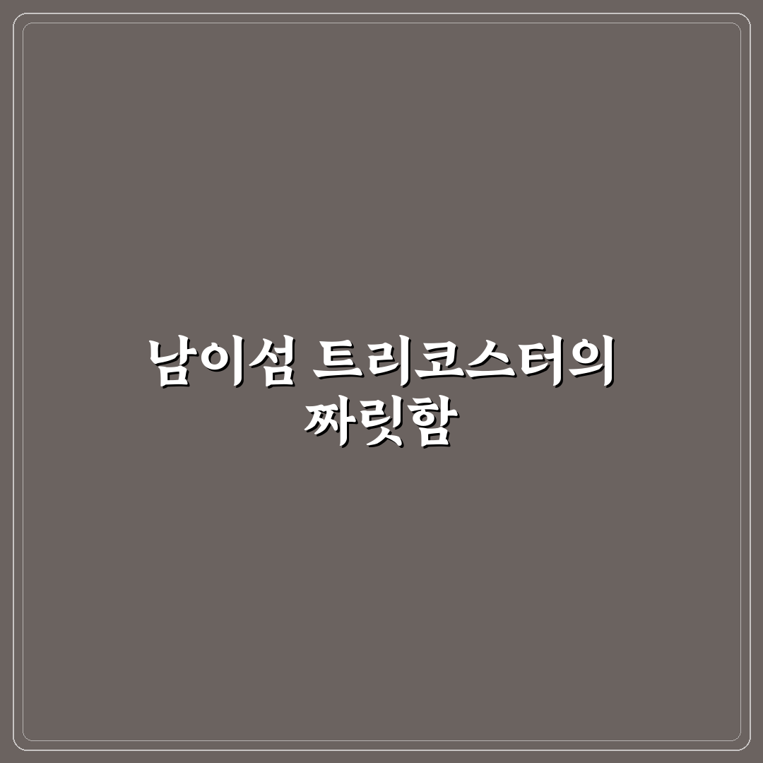 남이섬 트리코스터 이용 꿀팁과 체험 후기 공유