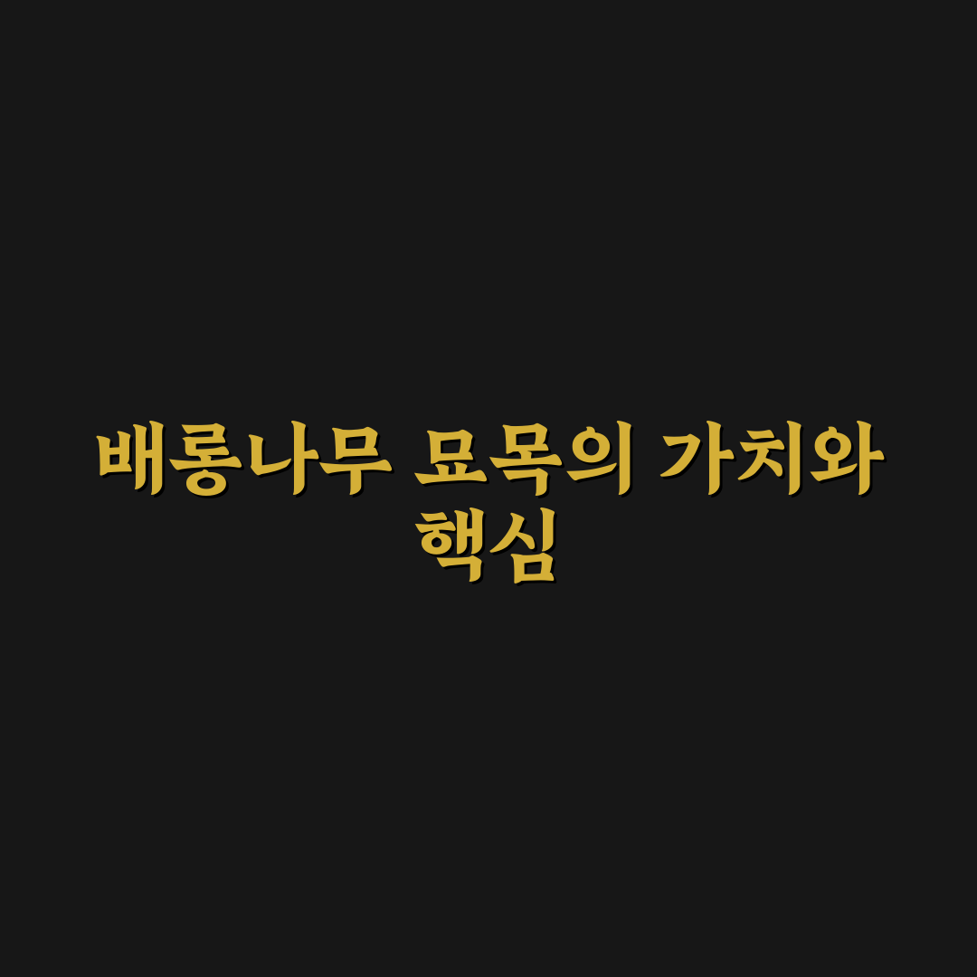배롱나무 묘목 선택과 관리 꿀팁 쉽게 알려드려요
