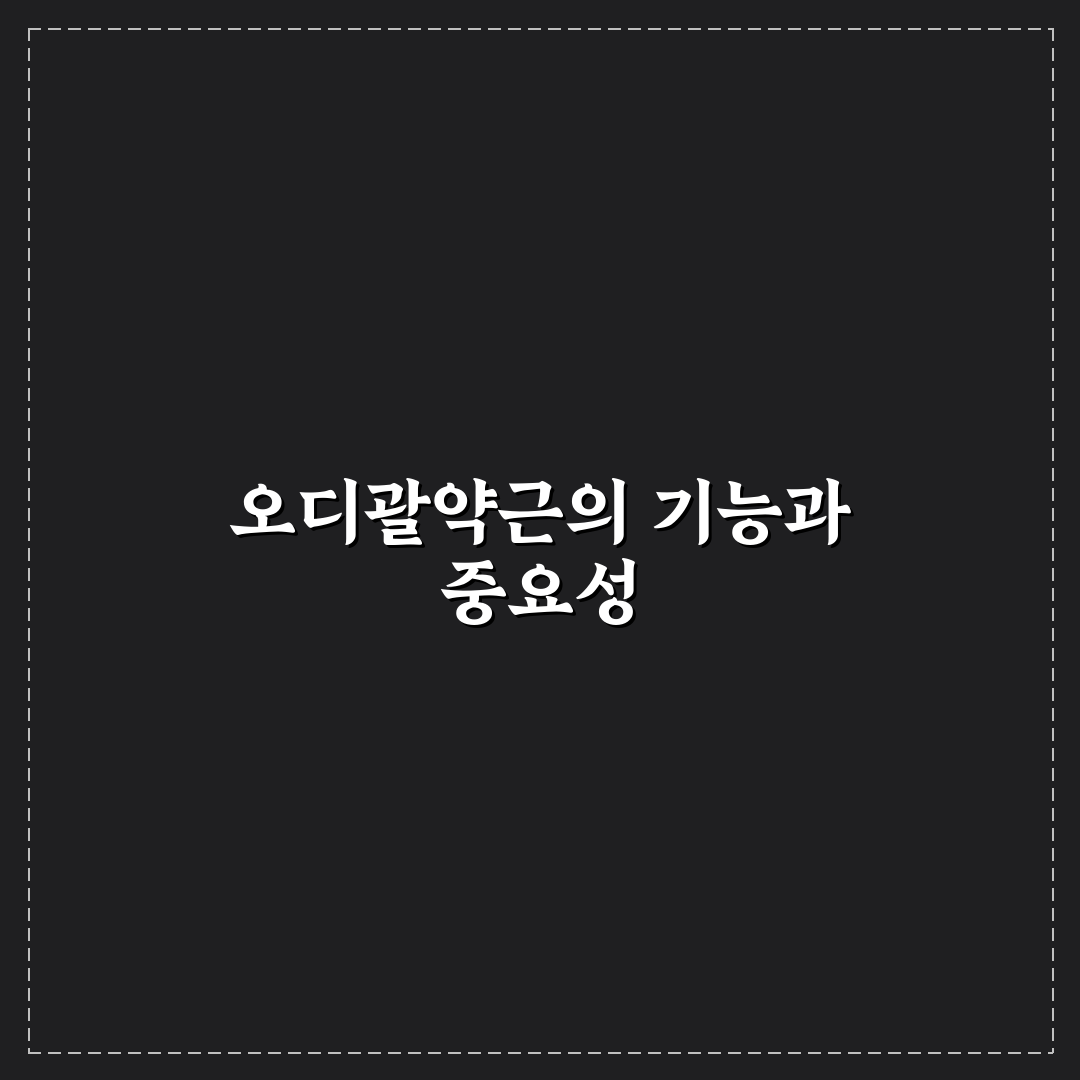 오디괄약근 기능과 관리법 쉽게 알려드려요