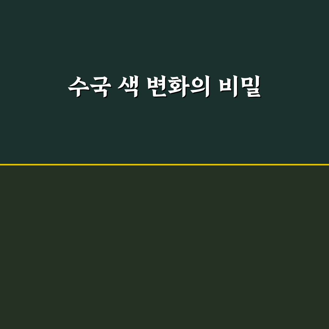 수국 꽃 색깔 변화 원인과 관리 꿀팁 알려드려요