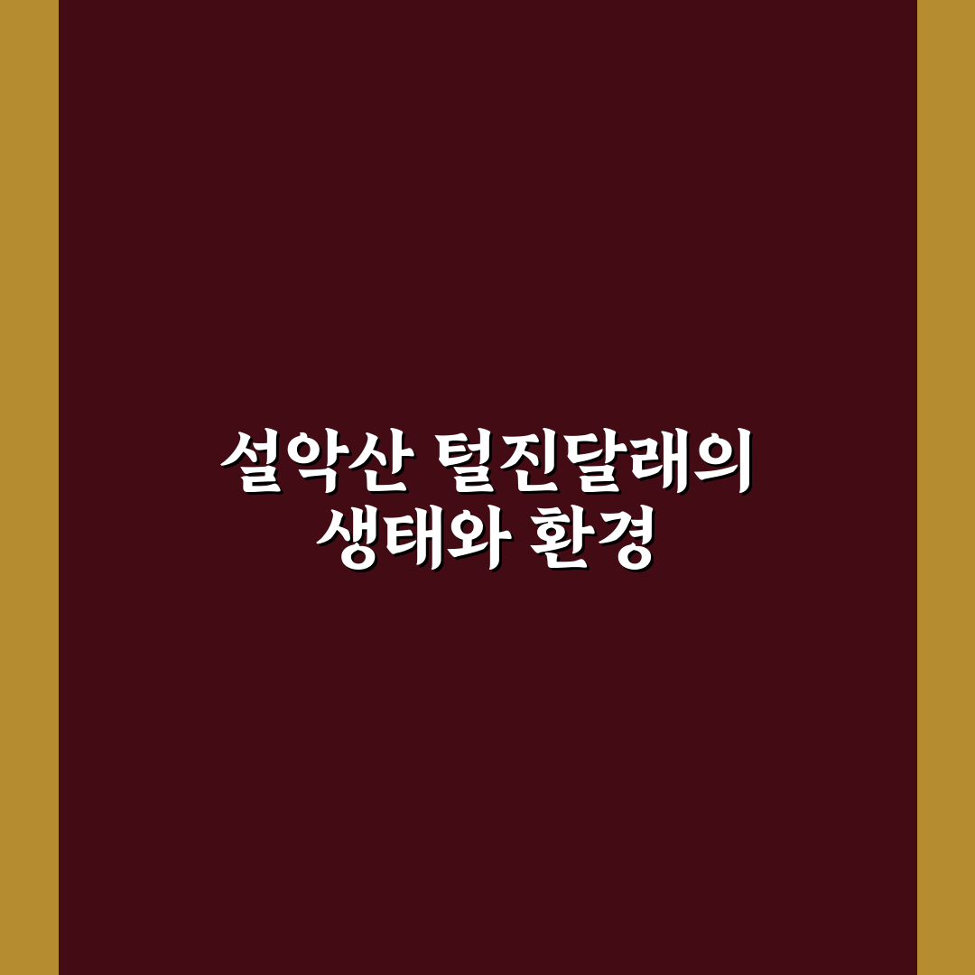 설악산 털진달래 개화 시기와 방문 꿀팁 알려드려요