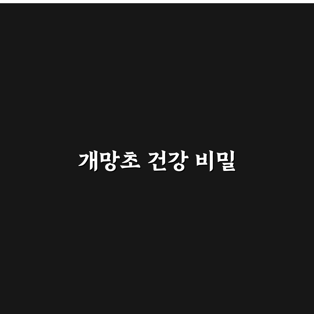 개망초효능 초보자를 위한 꿀팁과 활용법 정리