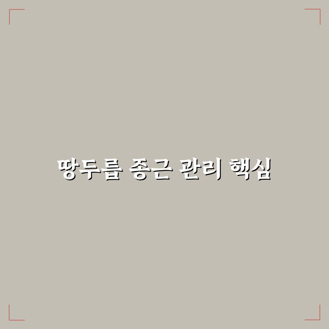 땅두릅 종근 판매 구매 전 알아두면 좋은 팁