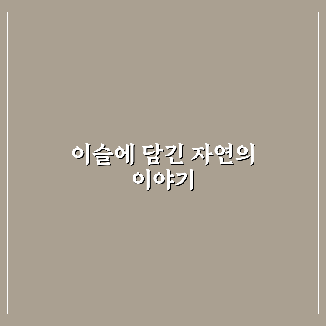 저 장미꽃 위에 이슬 자연스럽게 맺히는 원리와 팁