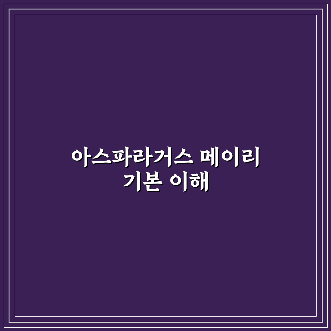 아스파라거스 메이리 키우기 꿀팁과 관리 방법 정리