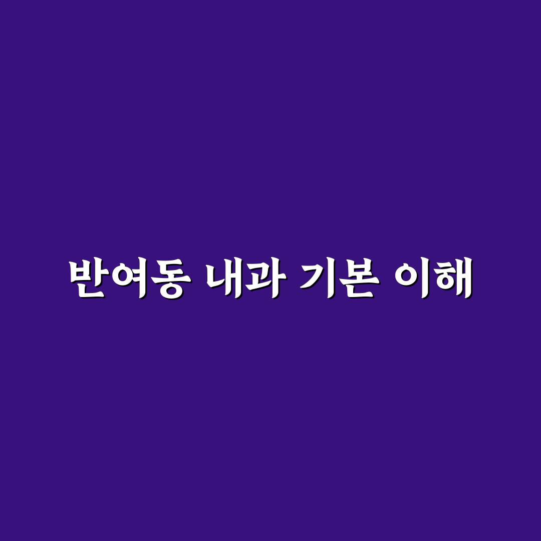 반여동 내과 선택 꿀팁과 기본 정보 정리