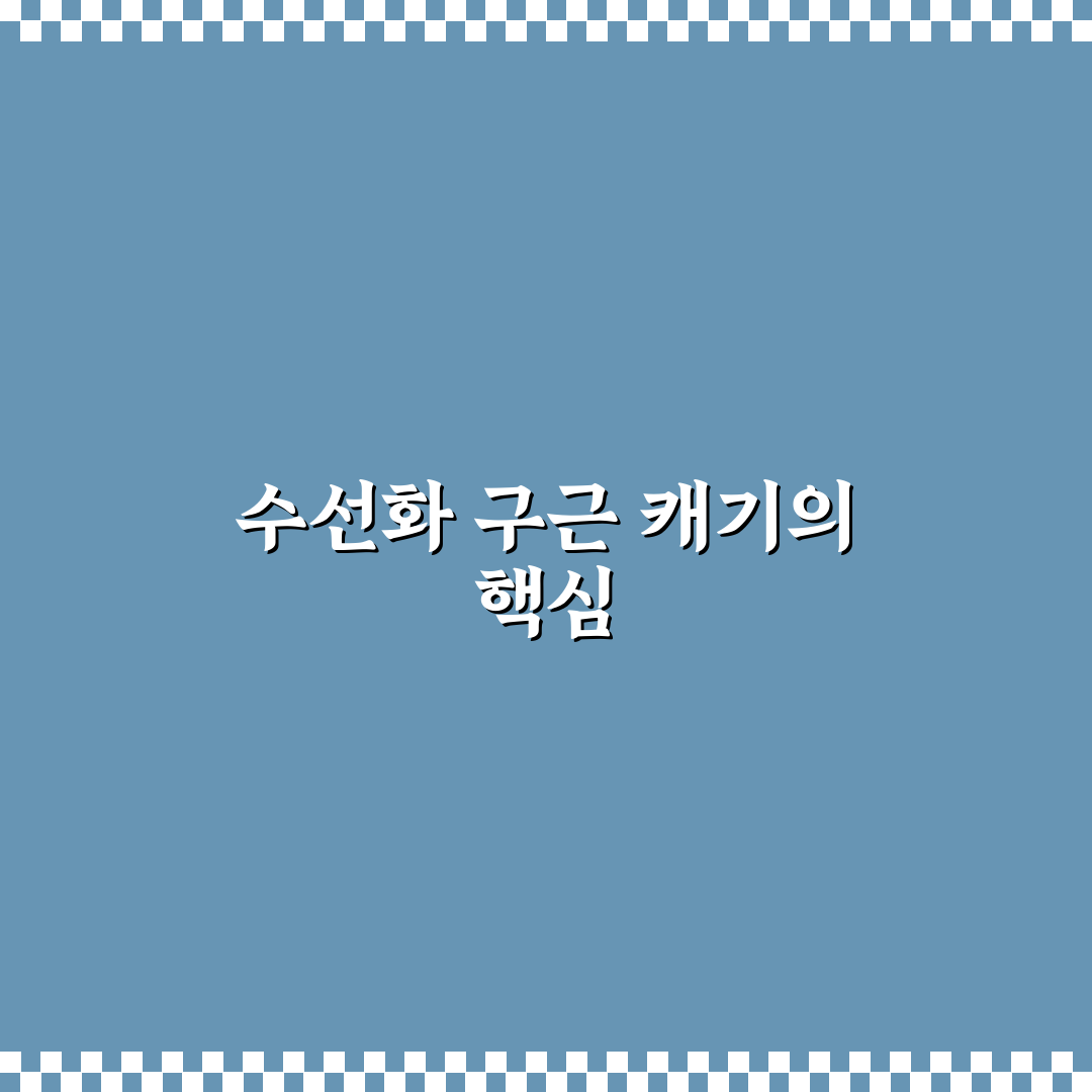수선화 구근 캐기 방법과 초보자 꿀팁 정리