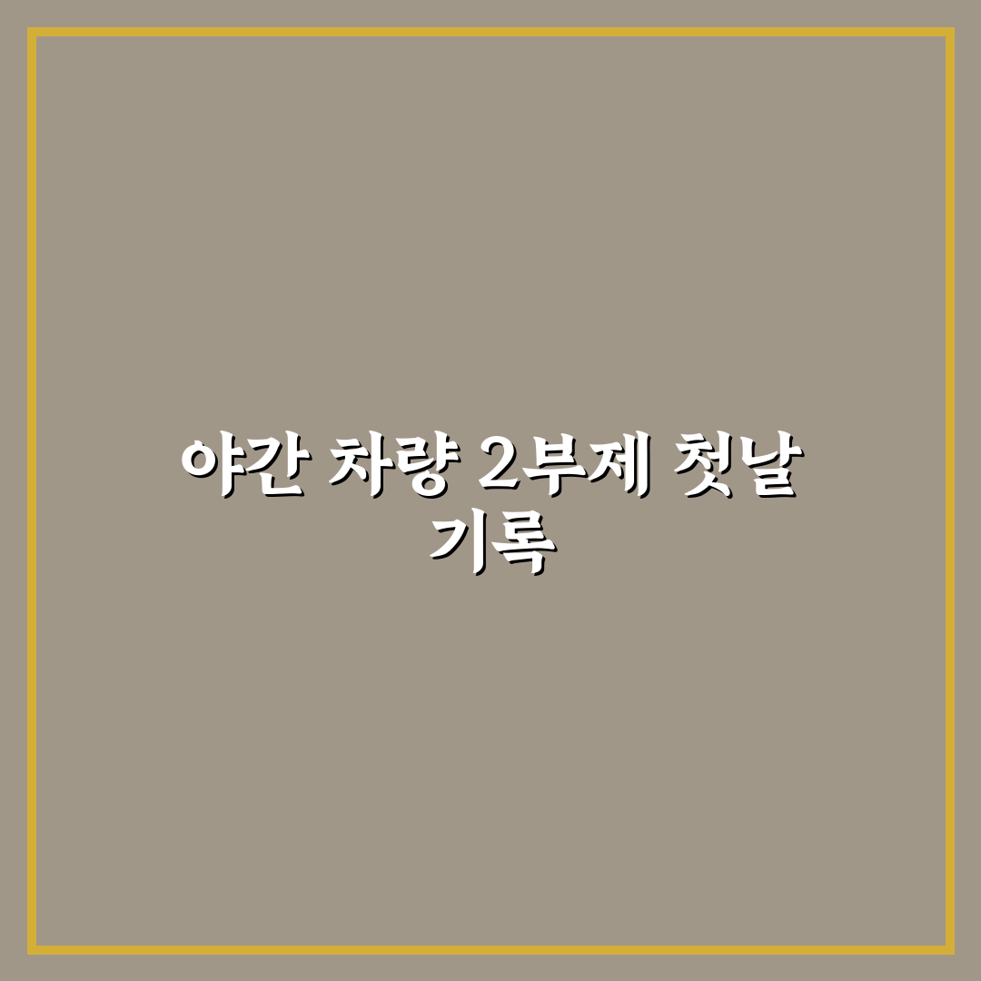 차량 2부제 야간 직접 진행해보니 불편했던 점들