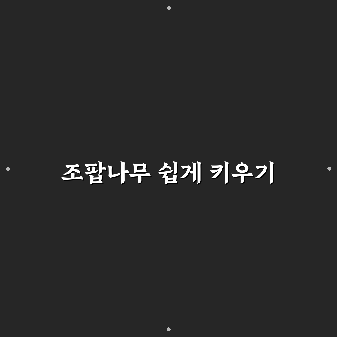 조팝나무 키우기 초보자를 위한 꿀팁과 방법 정리