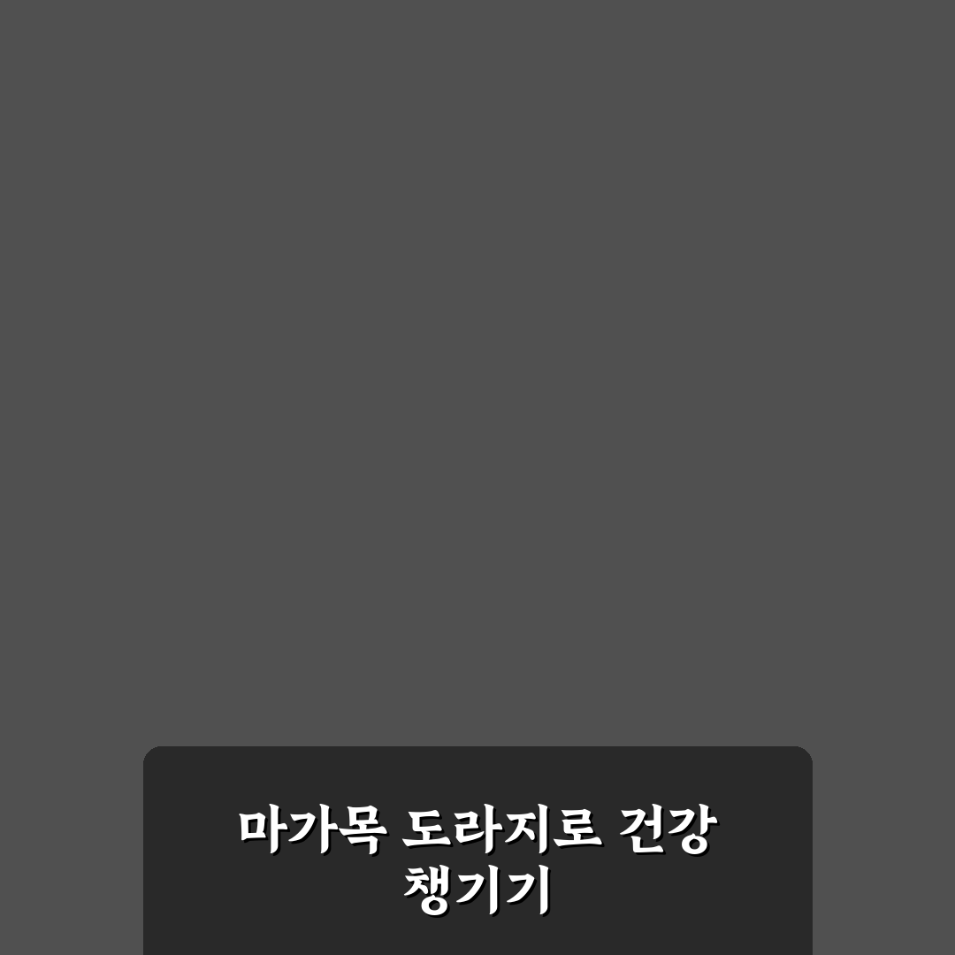 마가목 도라지 진액고 효능과 복용법 꿀팁 알려드려요