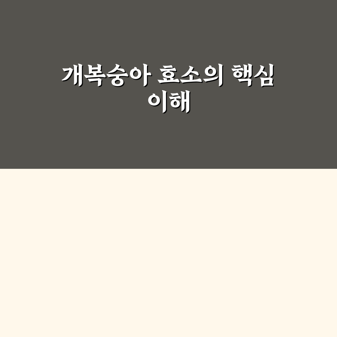 개복숭아 효소 만드는법과 꿀팁 쉽게 알려드려요