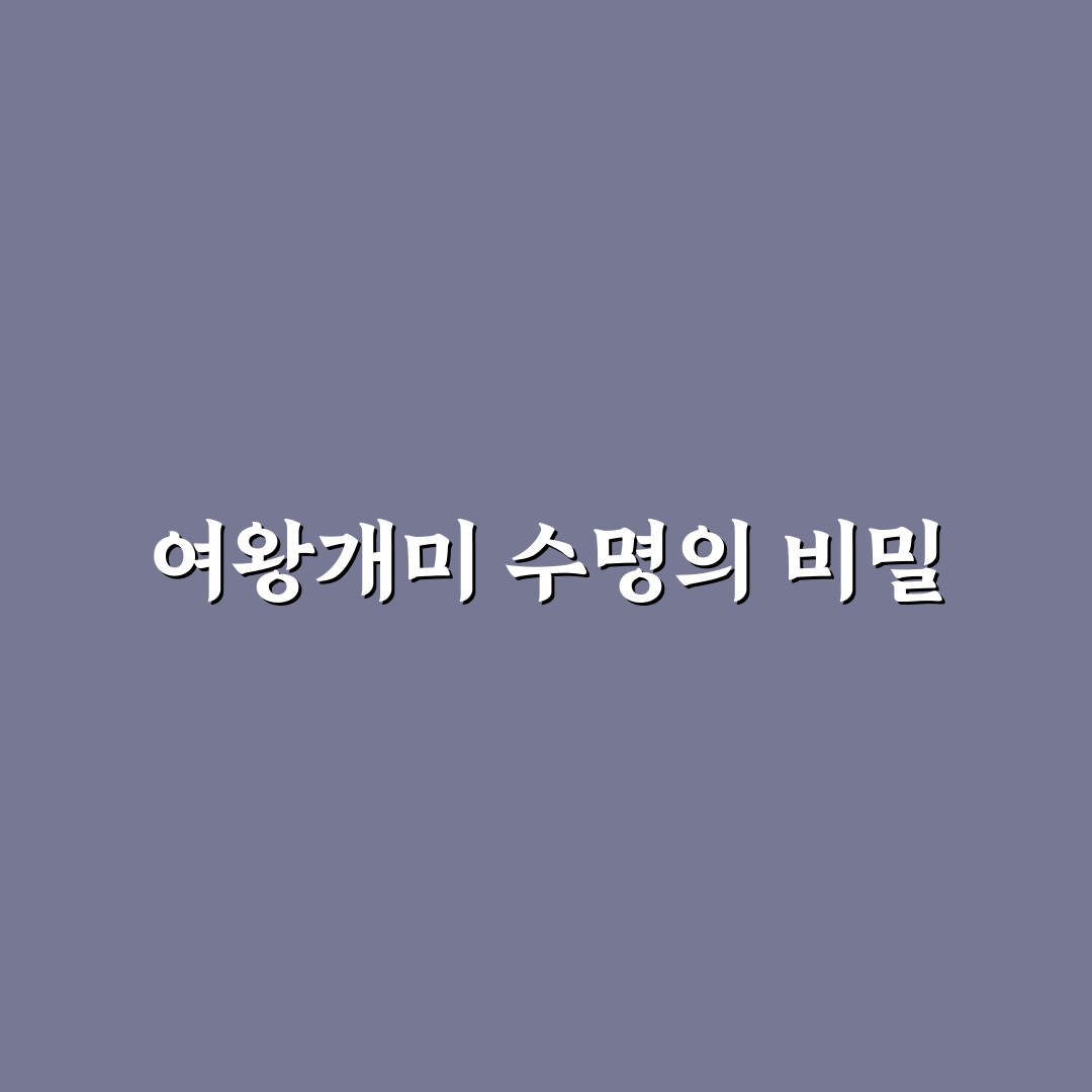 여왕개미 수명 알아두면 좋은 정보와 특징 정리