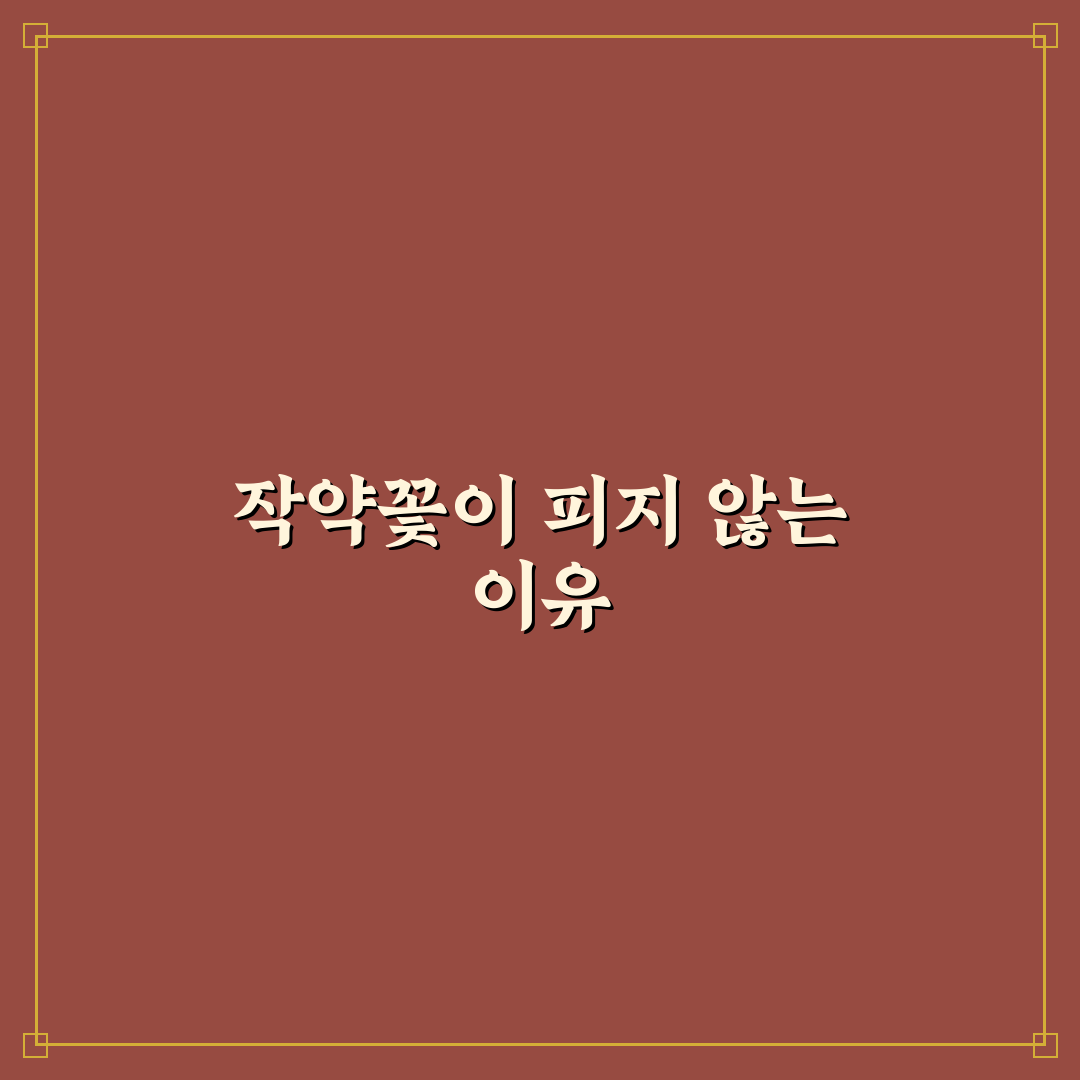 작약꽃이 안피는 이유와 해결 방법 꿀팁 알려드려요
