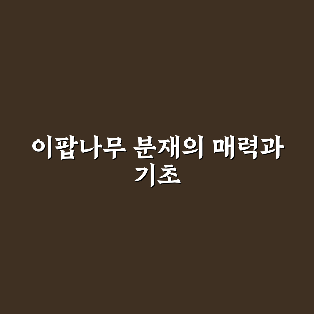 이팝나무 분재 키우기 꿀팁과 관리 방법 정리