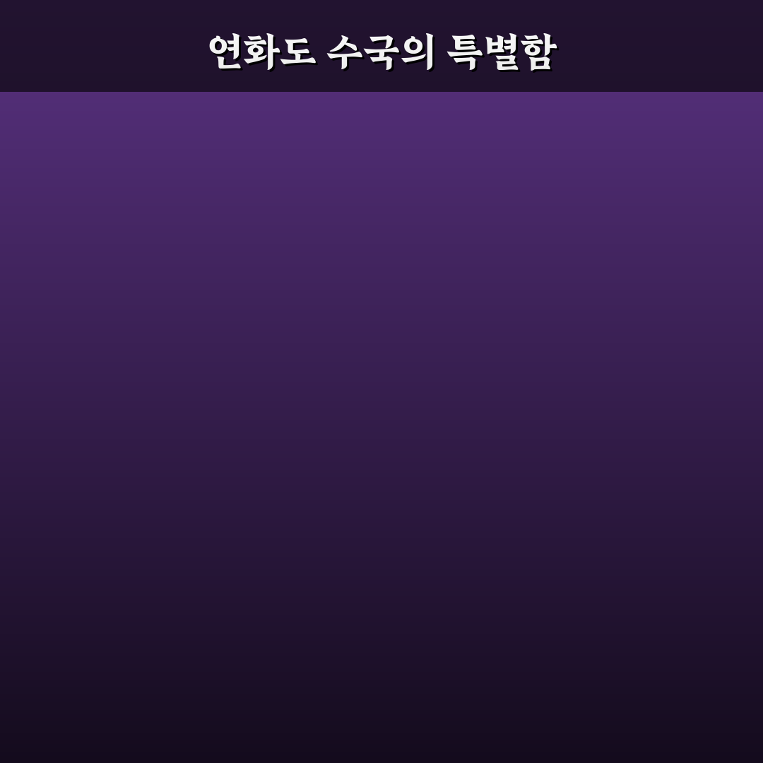 연화도 수국축제 방문 꿀팁과 준비물 정리
