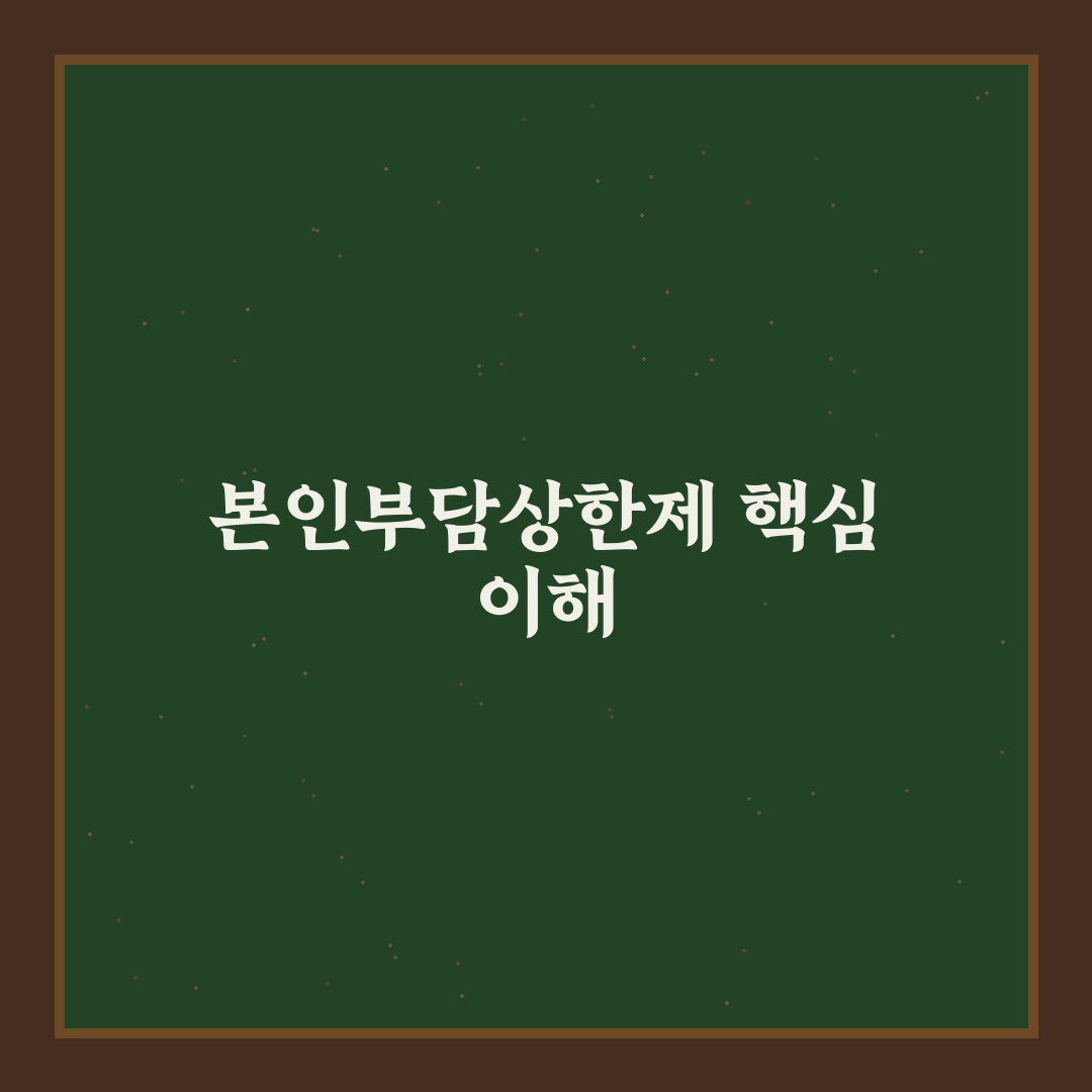 본인부담상한제 실비 정리와 초보자 꿀팁 알려드려요