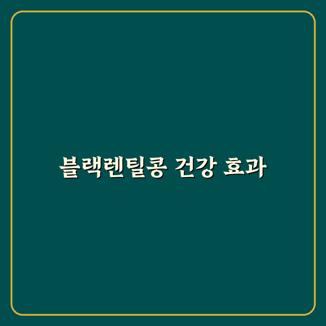 블랙렌틸콩 효능과 건강 관리 꿀팁 정리