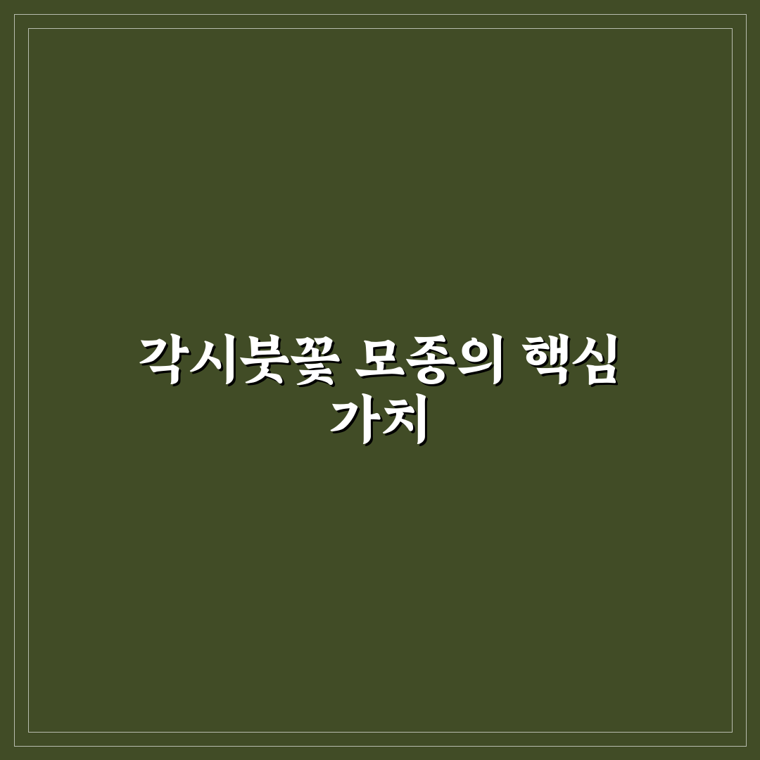 각시붓꽃 모종 심는 법과 관리 꿀팁 알려드려요