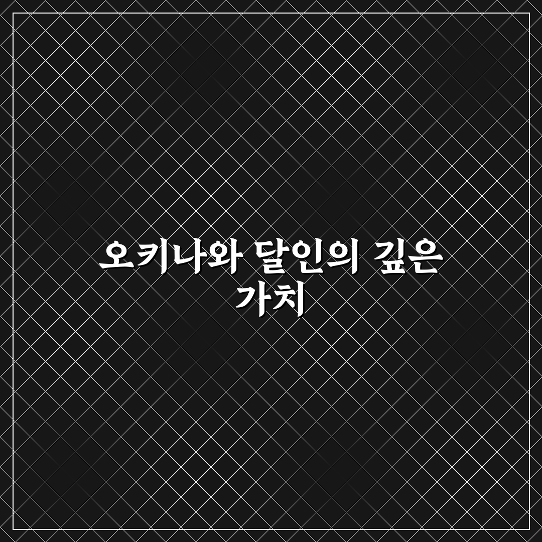 오키나와 달인 여행 꿀팁과 추천 여행지 정리