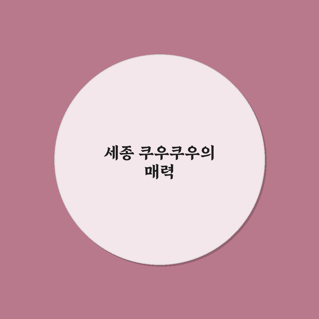 세종 쿠우쿠우 이용 방법과 꿀팁 정리