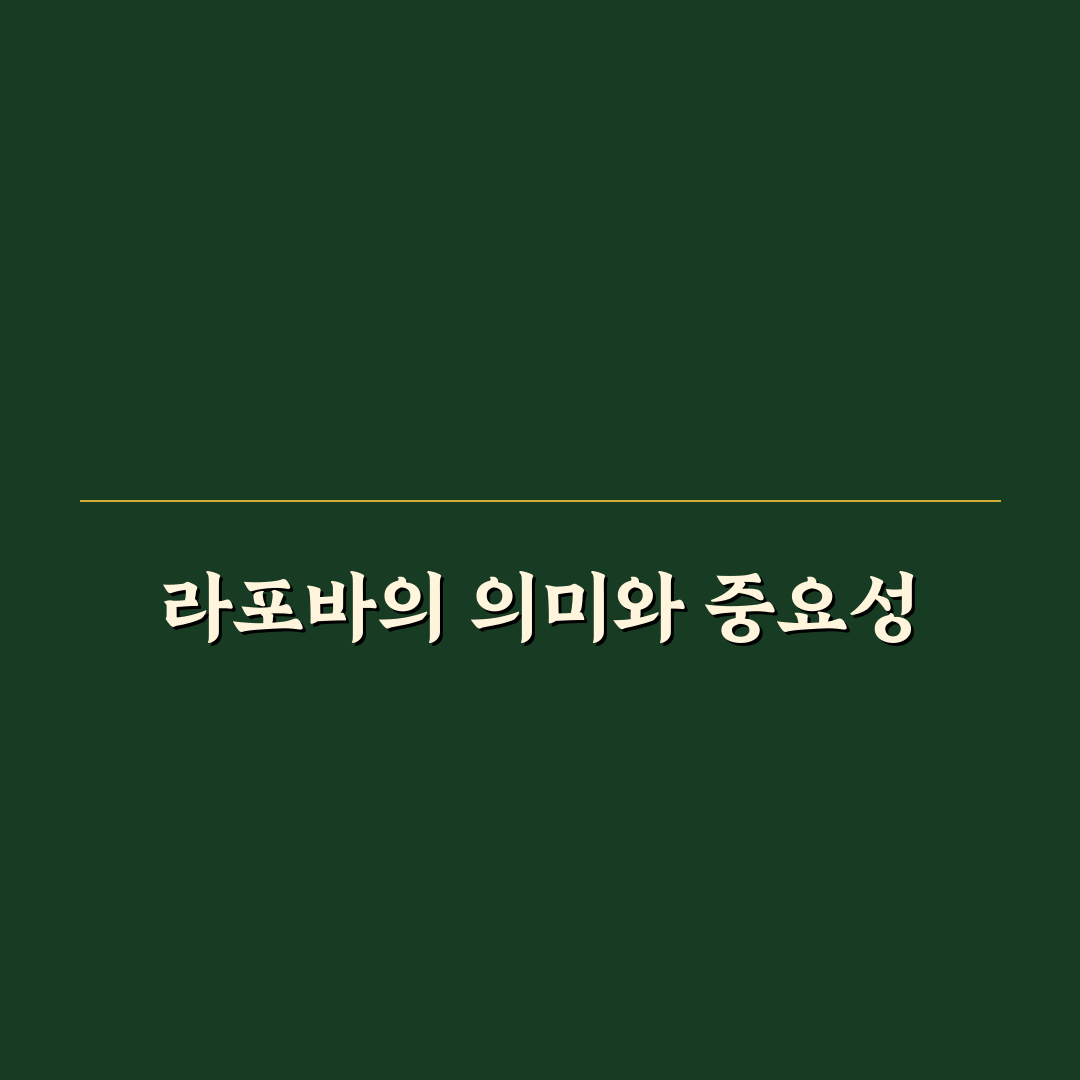 라포바 사용법과 효과 쉽게 알려드려요