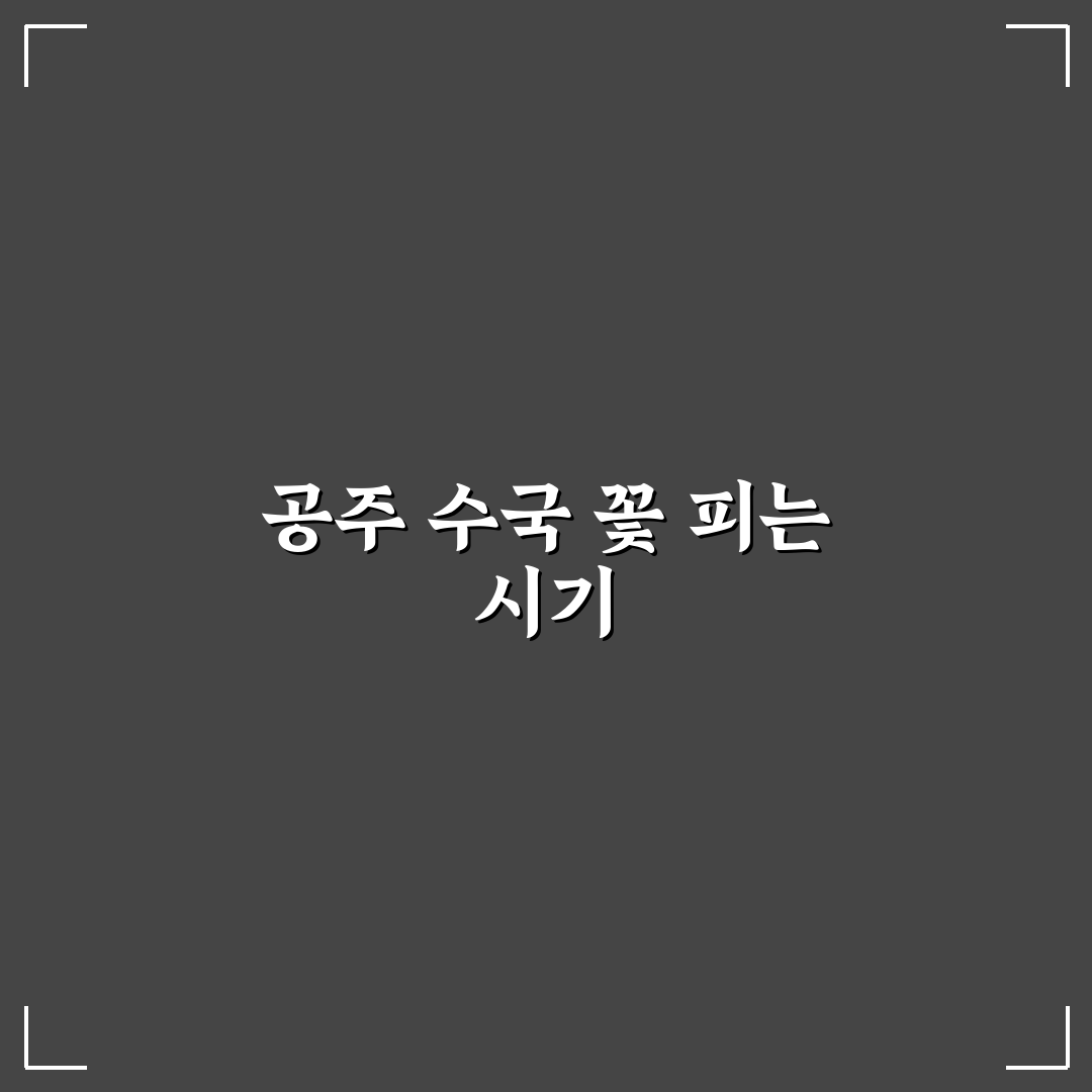 공주 수국 개화시기와 관리 꿀팁 쉽게 알려드려요