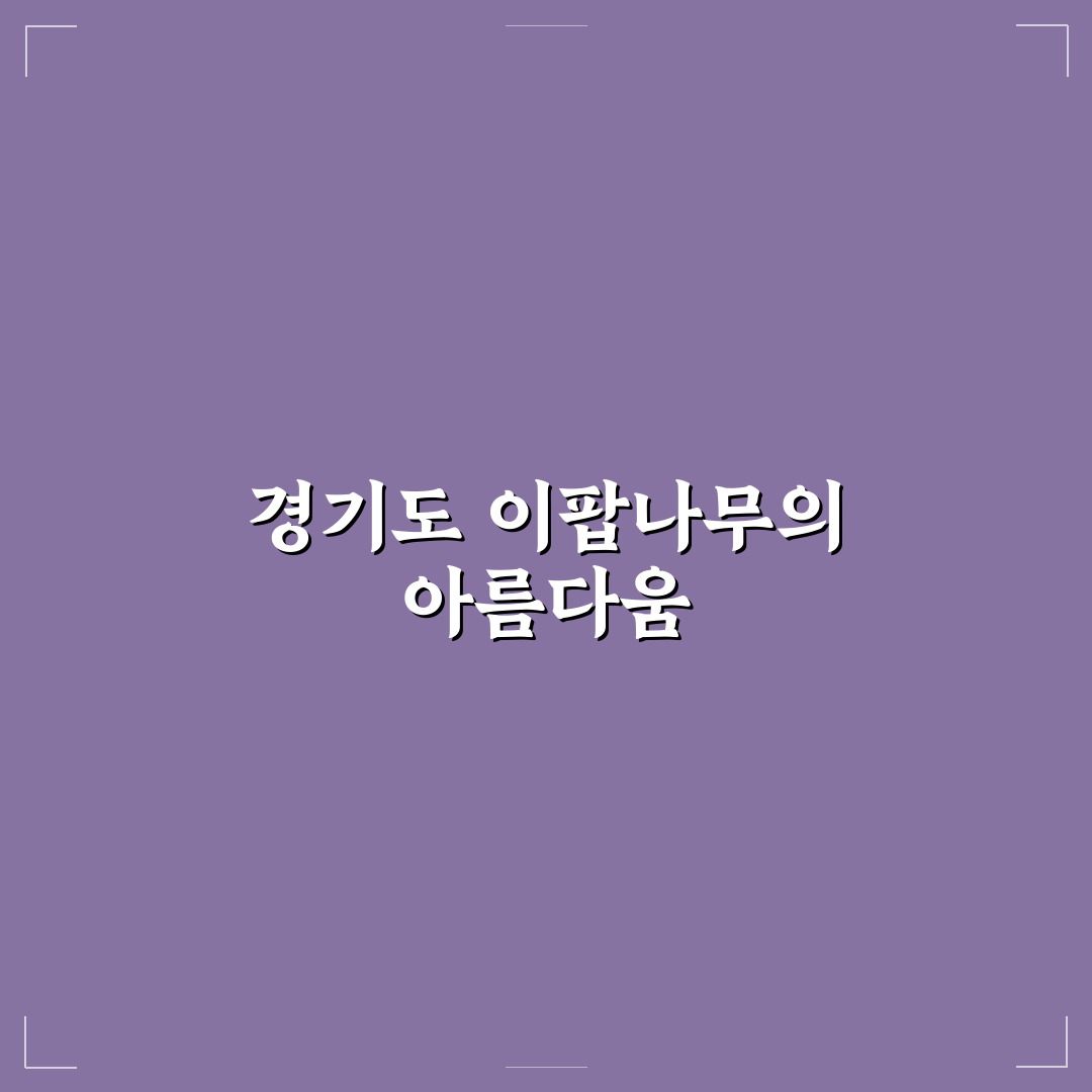 경기도 이팝나무 명소 추천과 방문 꿀팁 정리