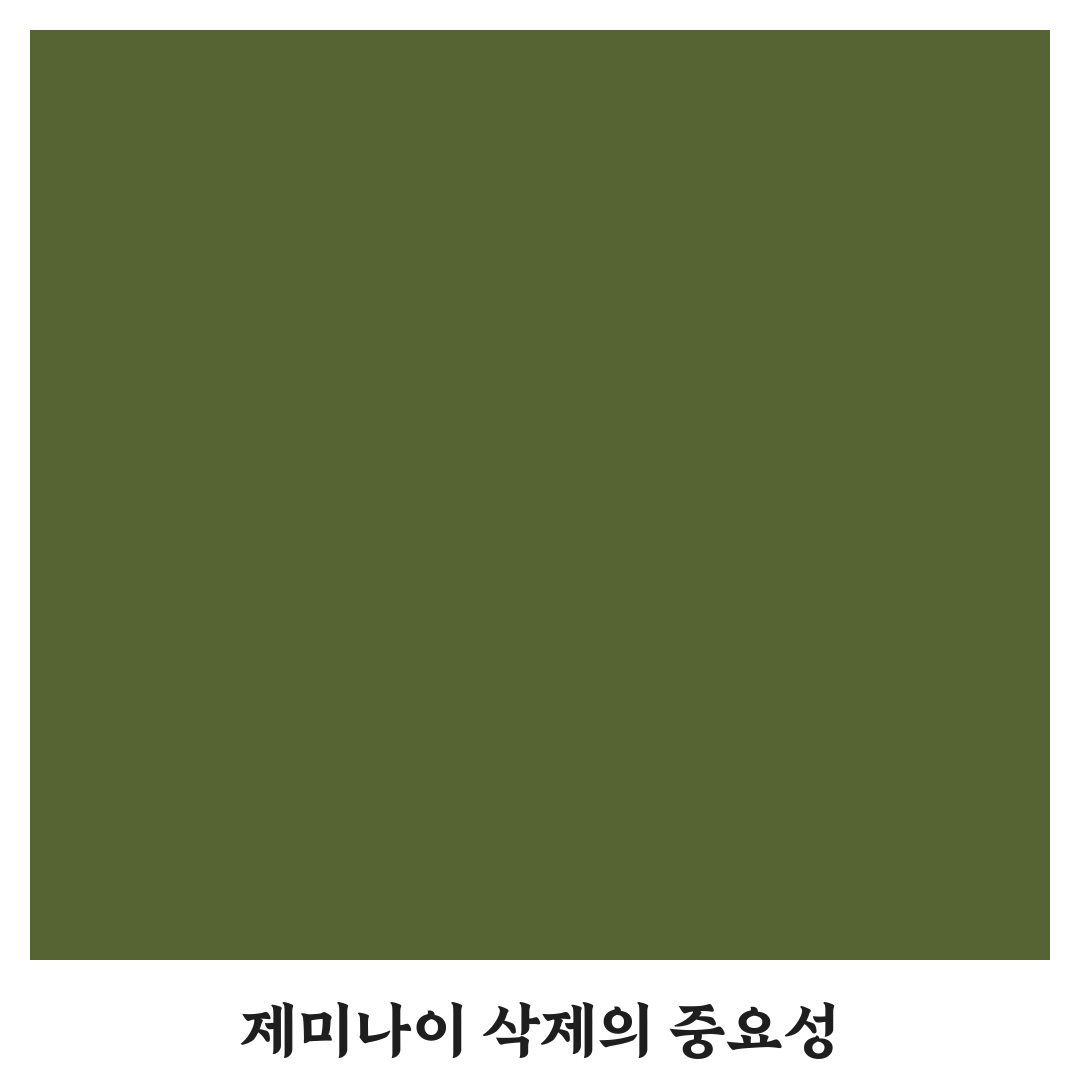 제미나이 삭제 방법과 꿀팁 쉽게 정리해드려요