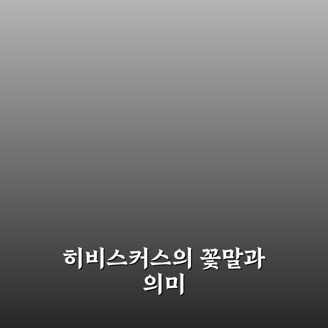 히비스커스 꽃말과 의미 쉽게 알려드려요