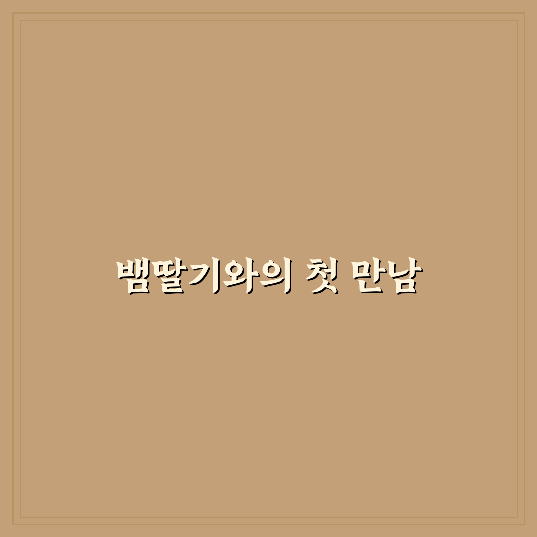 뱀딸기 먹어도 되나요 직접 알아보니 느낀 점