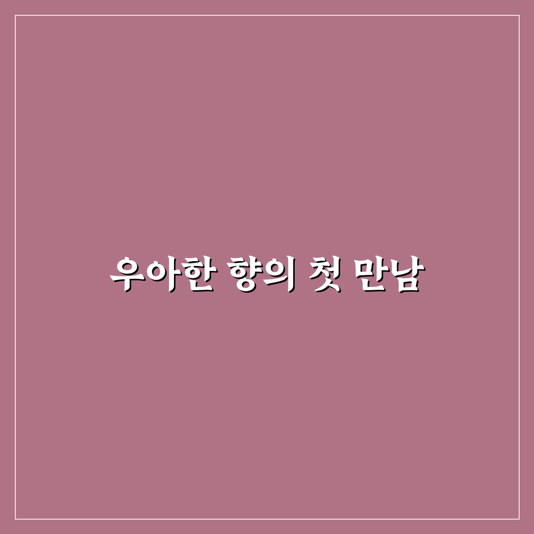 스카치 블루 30년산 가격, 직접 알아보니 적정한 수준인가요?