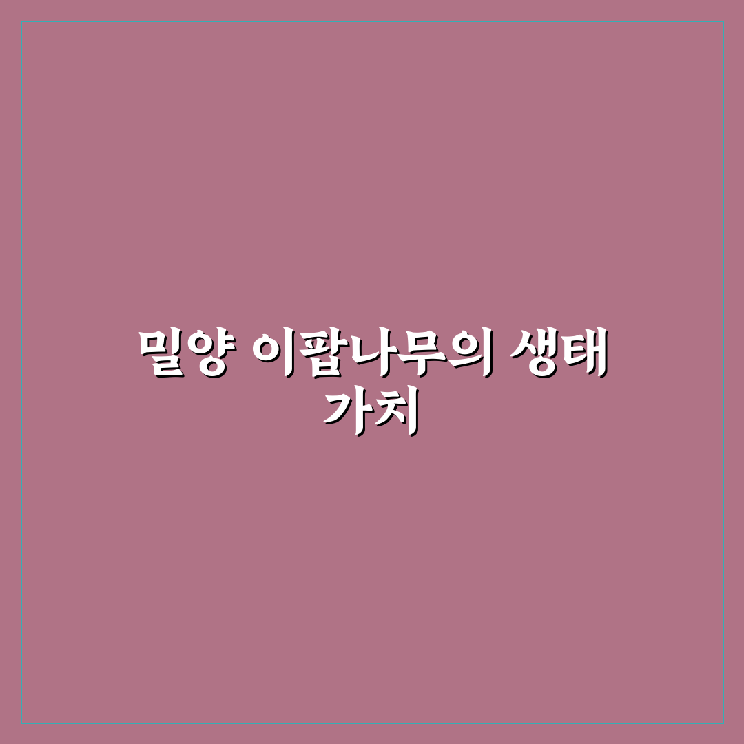 밀양 이팝나무 군락지 방문 꿀팁과 산책 코스 정리