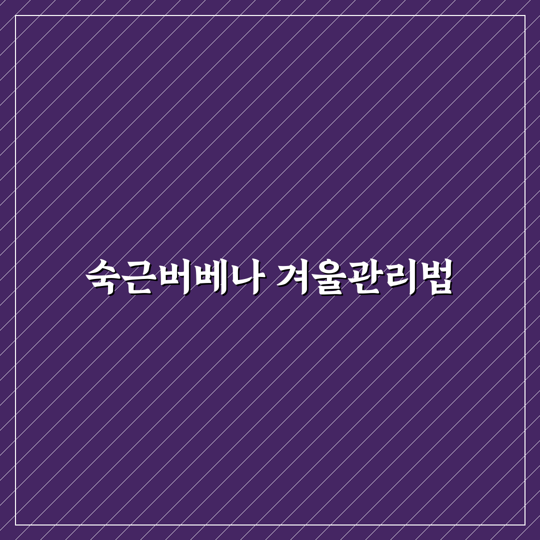 숙근버베나 월동 방법 추천 초보도 쉽게 따라하는 꿀팁