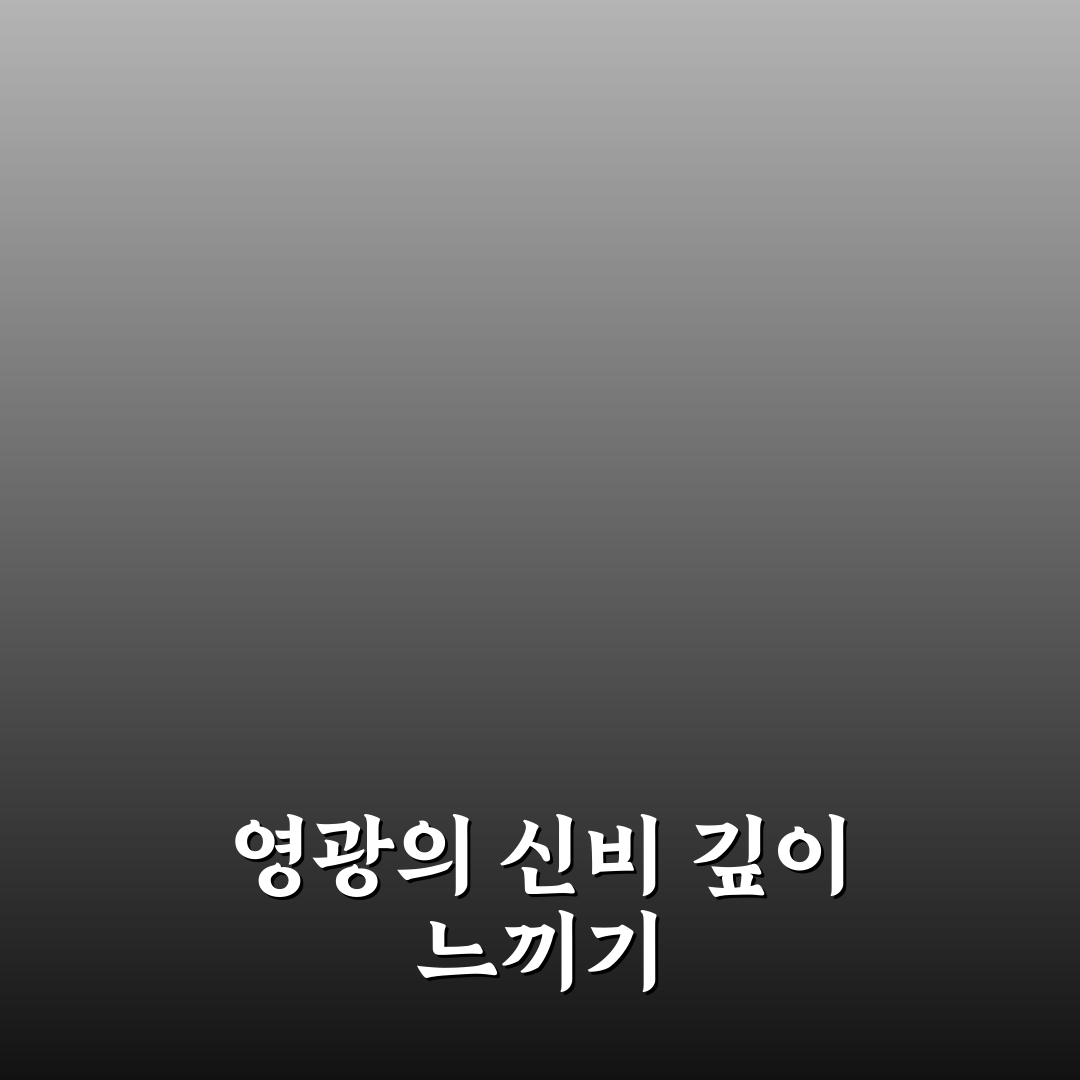묵주기도 영광의신비 쉽게 이해하는 방법 정리
