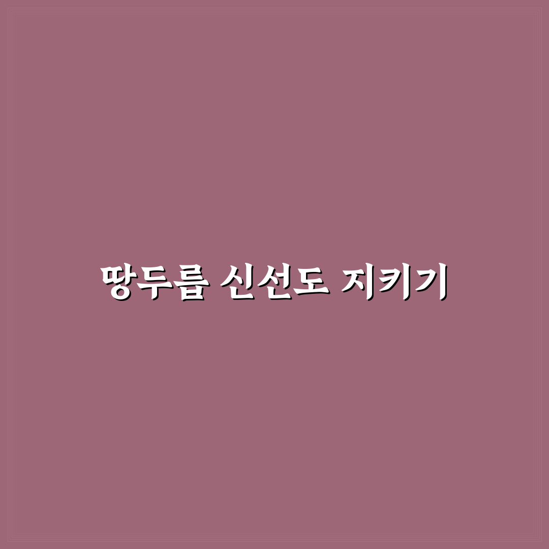 땅두릅 보관법과 꿀팁 쉽게 알려드려요